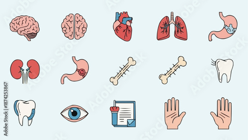 Collection of Human Organs and Body Parts Icons.