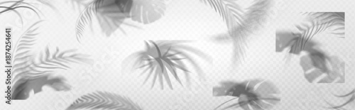 Shadow overlay of palm leaves and tropical foliage on transparent background. Soft silhouettes of tree fronds, monstera and exotic plant shadows with subtle blur effect for summer design layouts.