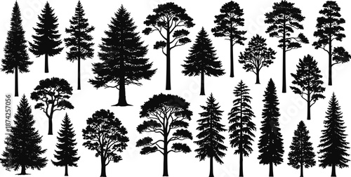 Set of black tree silhouettes, pine and spruce forest icons, nature symbols, botanical elements, cad drawing flat vector illustration, isolated
