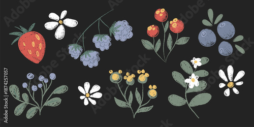 Crayon doodle flowers and berries set isolated on black. Vector illustration of cute hand drawn pastel plants, bright color botanical design, garden, field or forest elements, greeting card decoration