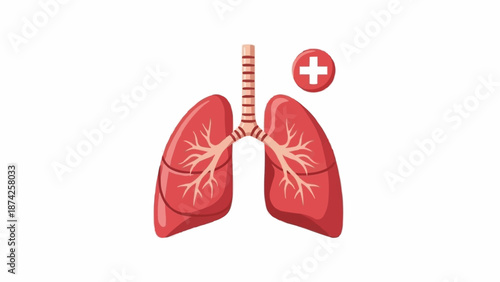 Human Lungs Anatomy Medical Health Care Symbol.