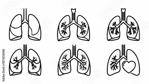 Human Lungs Anatomy Medical Illustration Set.