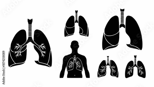 Human Lungs Anatomy Silhouette Set Medical Illustration.