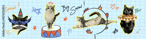 Halftone doodle circus cats on grid bg. Vector realistic illustration of funny pet memes, cute kittens playing with hand drawn jabot collar and mask, color podium, jumping through a ring, stickers set
