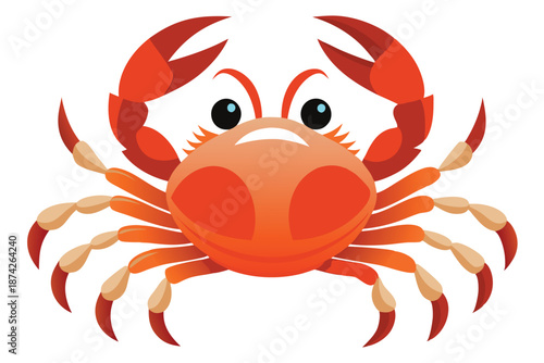 Realistic Red Crab Vector Illustration, Detailed Crustacean Graphic for Biological Studies and Underwater Ecosystem Themes