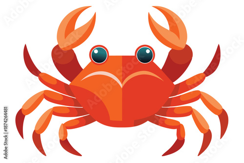 Red Crab Top View Vector Illustration, Marine Invertebrate Isolated for Culinary Design and Seafood Recipe Graphics