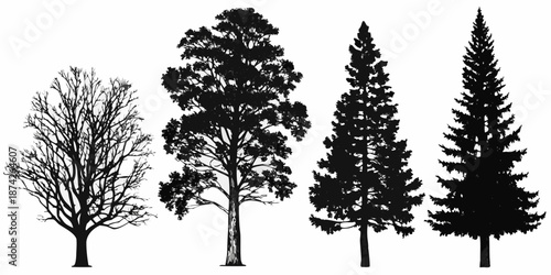 Silhouettes of various trees including deciduous and evergreen types