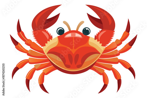 Red Crab Character Design for Seafood Branding, Vector Illustration of Marine Crustacean Isolated on White Background