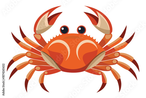 Large Red Sea Crab Vector Illustration, Detailed Marine Crustacean Isolated on White, Ideal for Gourmet Seafood Menus