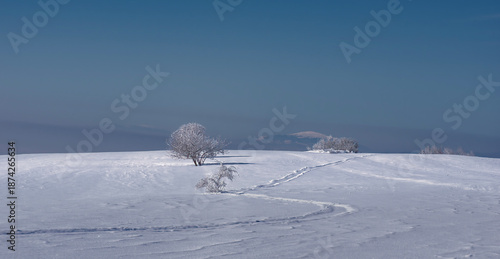 skiing in the mountains
