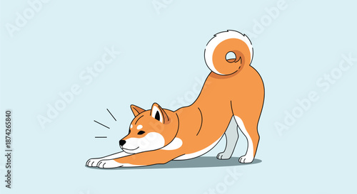 Cute shiba inu dog performing a deep stretch on a light blue background, charming canine character illustration capturing pet behavior.
