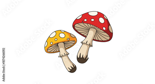 Two wild mushrooms with spotted caps one orange and one red with white spots standing on a clean white background.