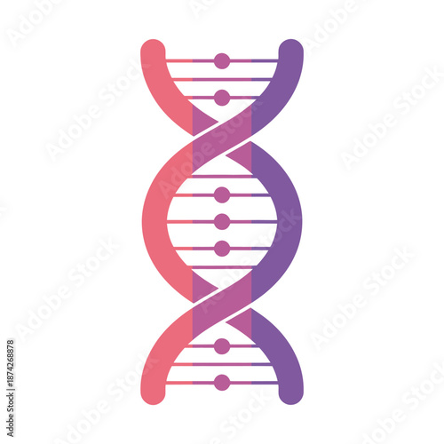 Colorful DNA double helix structure model icon vector graphic  genetic symbol