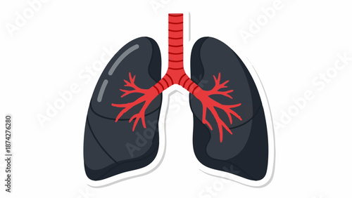 Stylized human lungs with red bronchi on a white background