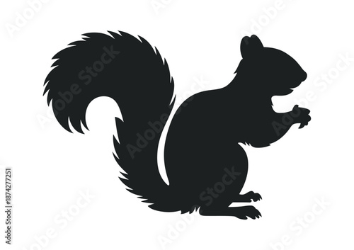 Squirrel vector illustration, realistic or stylized rodent artwork, suitable for posters, digital media, icons, or decorative illustrations.