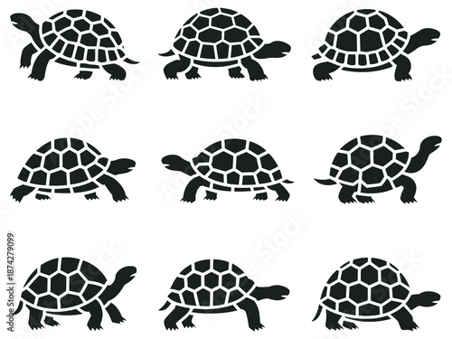 Tortoise vector silhouette illustration, company hierarchy and rank positions, executive and staff levels, management roles and leadership icons, organizational structure concept.
