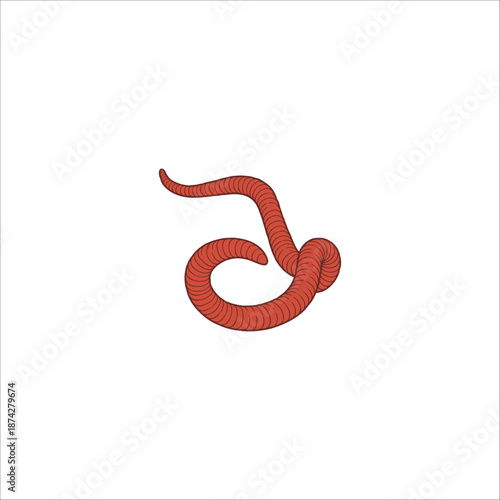 worm sketch drawing artwork handmade illustration