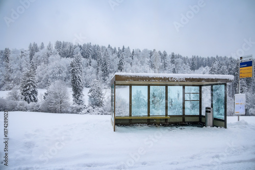 Fotografie A snowed in bus stop framed by a picturesque forest in Stallikon, Switzerland