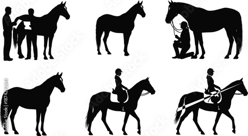 Horse rider silhouette vector set, equestrian training grooming riding poses, animal sport illustration isolated on white background