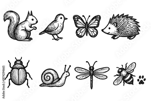 Wildlife, nature sketch icon set. Hand-drawn animals, insects outline collection