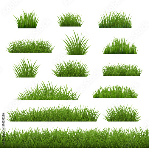 Big Set Green Grass Isolated White Background