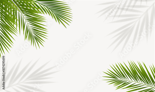Eco Frame With Green Palm Tree Leaves