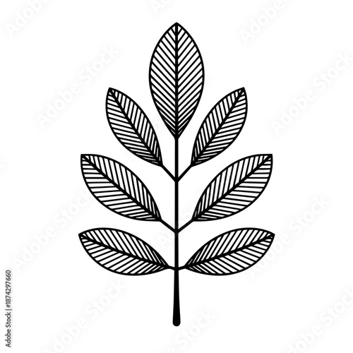 Stylized leaf illustration with delicate black outline and fine internal lines on clean white background. Minimalist leaf illustration highlights organic form, conveying natural elegance.