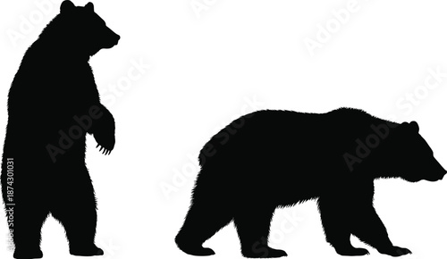Black bear silhouettes standing and walking poses, wild animal wildlife vector illustration collection, forest mammal design isolated on white background