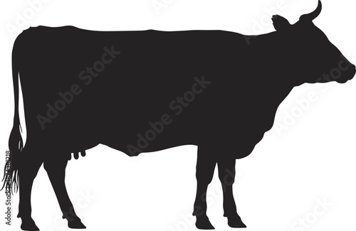 Black cow silhouette side view, farm animal livestock vector illustration isolated on white background, rural agriculture design element