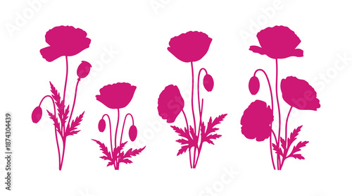Poppy flowers showcased in an abstract illustration collection. Wildflowers for use in botanical art backgrounds. A clean and simple minimalist art set.

