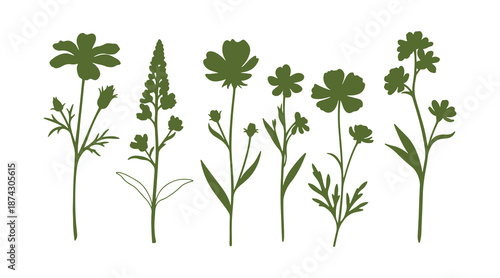 Flowers shown on a white surface. Wildflowers for the background. Abstract botanical art piece. A minimalist art set that’s simple. Continuous line illustration.