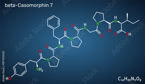 Beta-casomorphin-7, BCM7 opioid peptide molecule. Milk-derived casein peptide with potential physiological effects. Skeletal chemical formula. Dark blue background. Vector illustration