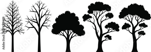 Best Sources for Free Leafless Tree Silhouette Vector Graphics