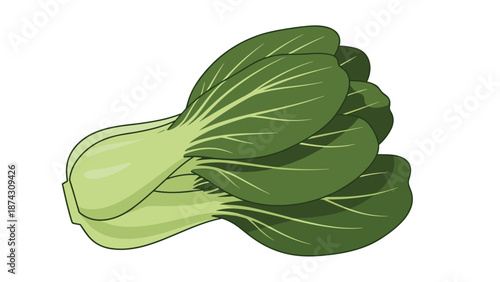 Fresh bunch of green bok choy or pak choi leaves isolated on white, showcasing healthy vegetables for culinary and nutritional design.
