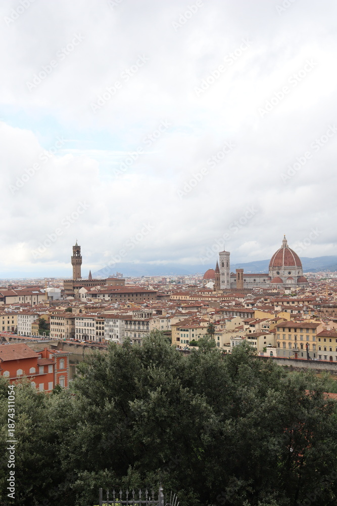Obraz premium view of florence