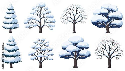 A collection of snow-covered trees in various winter landscapes