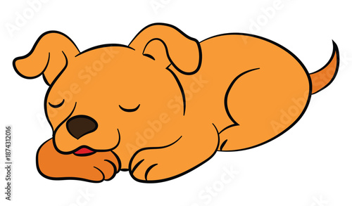 Cute labrador sleeping isolated on white background