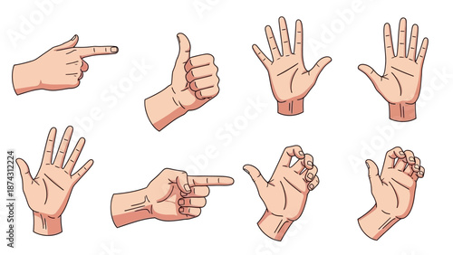 A collection of various hand gestures on a white background