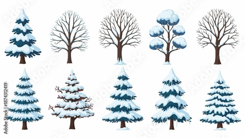 A collection of snow covered trees in a winter landscape