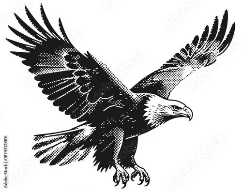 A bold black-and-white illustration of a soaring eagle, wings spread wide and talons ready. Ideal for logos, mascots, wildlife themes, or powerful symbolism of freedom