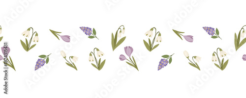 Purple crocus, blue muscari and white snowdrops with leaves, hand drawn botanical floral vector seamless border with scattered flowers