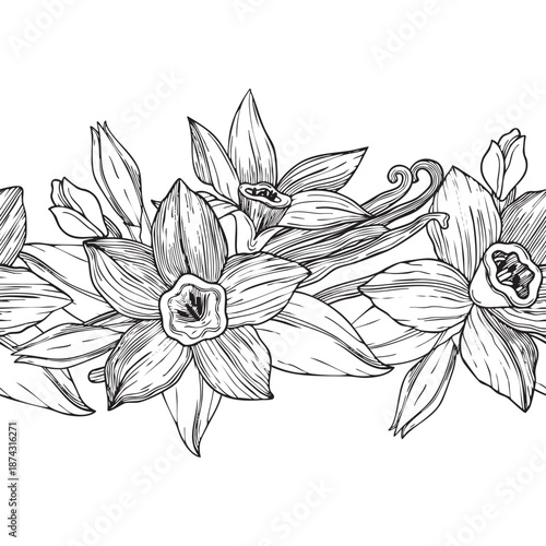 Hand-drawn seamless border made of blooming vanilla flowers and buns and vanilla pods, graphic botanical detailed sketch 