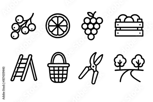 Fruit Harvest Icons. Fruit harvestset in outline vector style berry cluster, citrus slice, grape bunch, fruit crate, ladder, picking basket, pruning shears, orchard path