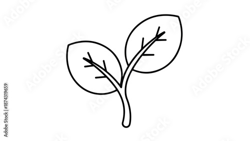 An illustration depicts a plant with two leaves in a simple graphic style.