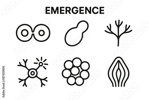 Cellular Evolution Icons. Emergence biological set in outline vector style: cell dividing, budding organism, branching vein, neural spark, tissue cluster, forming structure