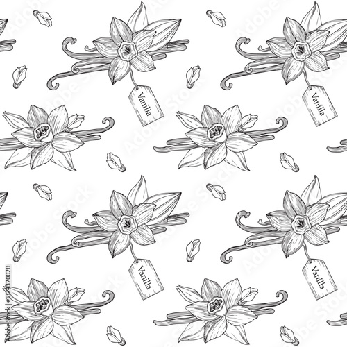Hand-drawn seamless pattern made of blooming vanilla flowers and buns and vanilla pods, graphic botanical detailed sketch