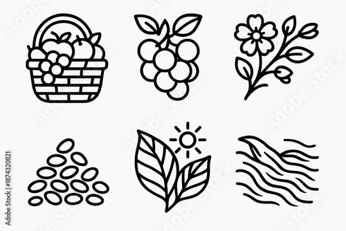 Nature's Bountiful Icons. Abundance nature set in outline vector style: overflowing basket, fruit cluster, blooming branch, seed pile, sunlit leaf, flowing water