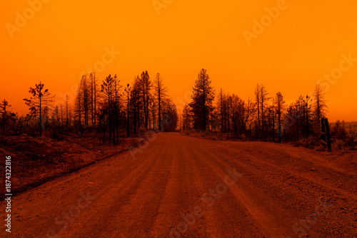 Tableau sur toile A dirt road in Lassen County, California, under an orange smoke-filled sky during the Dixie Fire, surrounded by scorched trees and barren landscape