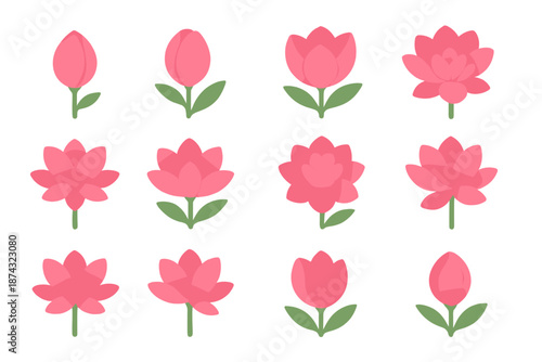 Petal Evolution Icons. Petal Evolution set in isometric flat vector : tight bud, soft opening curve, layered bloom, vibrant flower, spreading petals, subtle decline mark -