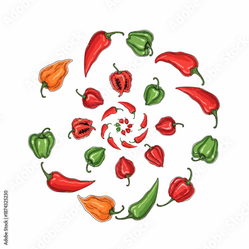 Fiery Vortex: Hand-Drawn Spiral of Colorful Chili Peppers